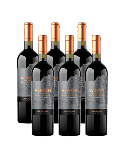 Pack 6 Carmenere, gran reserva, Aliwen, viña Undurraga en oferta!