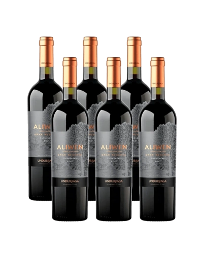 Pack 6 Carmenere, gran reserva, Aliwen, viña Undurraga en oferta!