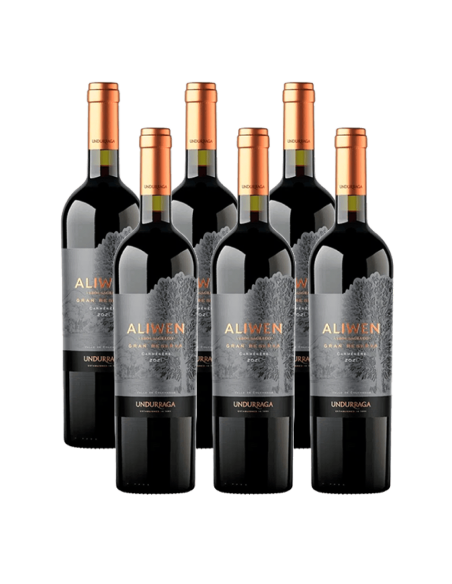 Pack 6 Carmenere, gran reserva, Aliwen, viña Undurraga en oferta!