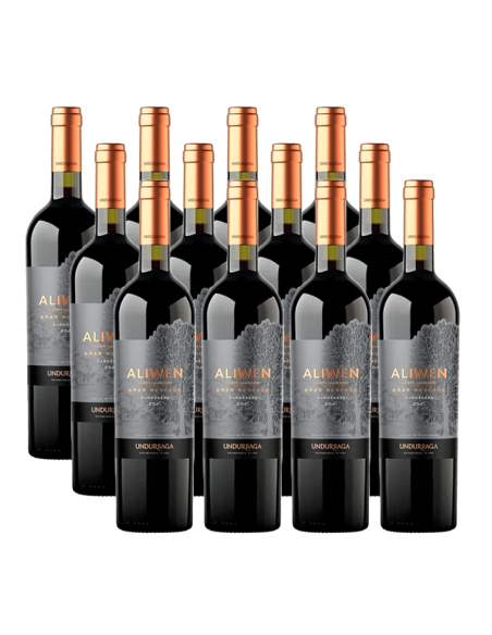 Pack 12 Carmenere, gran reserva, Aliwen, viña Undurraga en oferta!