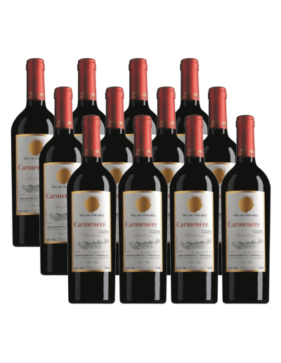 Pack 12 Carmenere, Premium, Von Siebenthal en Oferta!