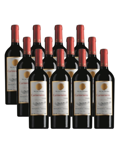 Pack 12 Carmenere, Premium, Von Siebenthal en Oferta!