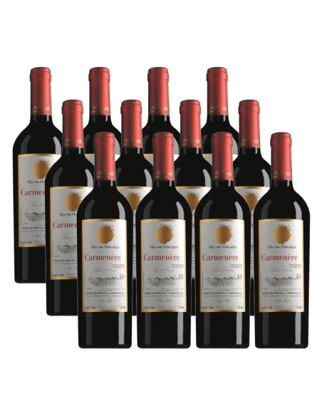 Pack 12 Carmenere, Premium, Von Siebenthal en Oferta!