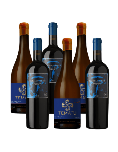 Pack 6 Mix Vinos Iconos y Super Premium