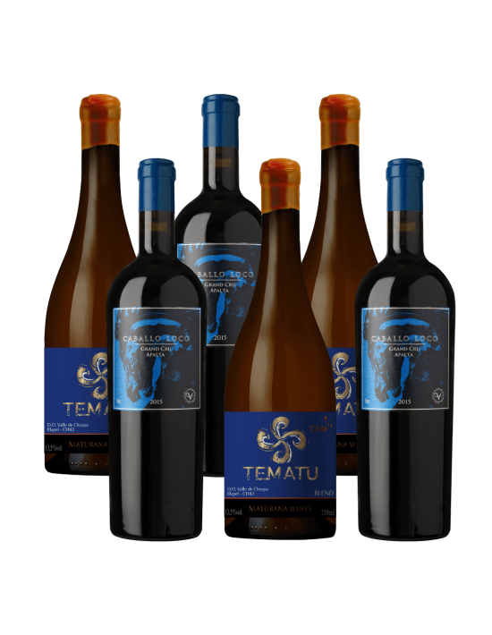 Pack 6 Mix Vinos Iconos y Super Premium