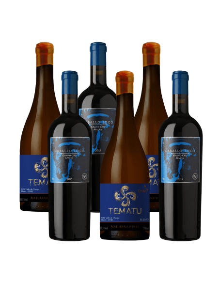 Pack 6 Mix Vinos Iconos y Super Premium