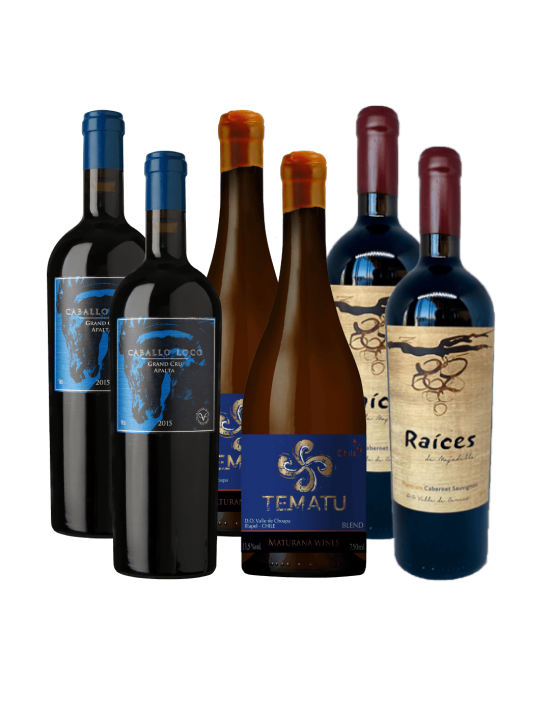 Pack 6 Mix Caballo Loco, Las Pitras y Tematu