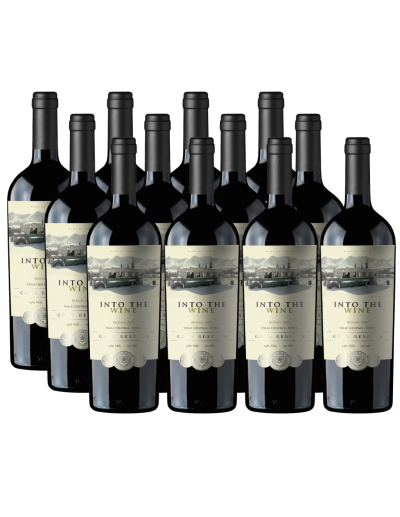 Increíble vino de exportación Ensamblaje, Gran Reserva, Into the Wine en Oferta!