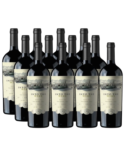 Increíble vino de exportación Ensamblaje, Gran Reserva, Into the Wine en Oferta!