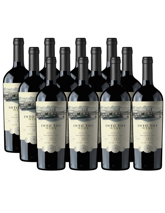 Increíble vino de exportación Ensamblaje, Gran Reserva, Into the Wine en Oferta!