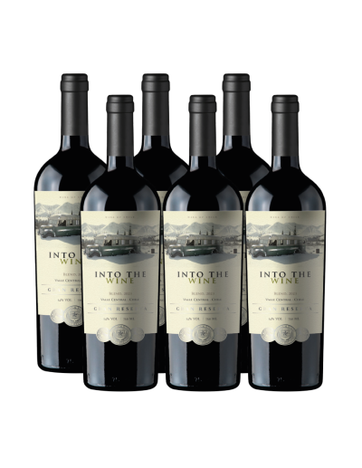 Increíble vino de exportación Ensamblaje, Gran Reserva, Into the Wine en Oferta!