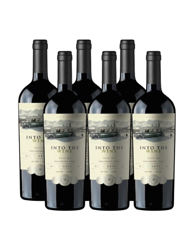 Increíble vino de exportación Ensamblaje, Gran Reserva, Into the Wine en Oferta!