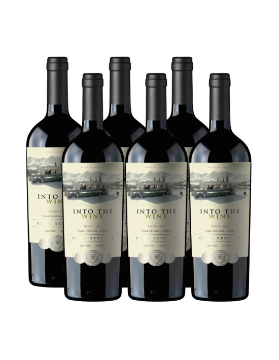 Increíble vino de exportación Ensamblaje, Gran Reserva, Into the Wine en Oferta!