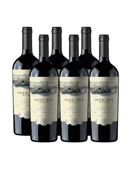 Increíble vino de exportación Ensamblaje, Gran Reserva, Into the Wine en Oferta!