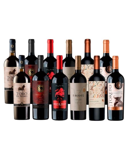 Pack Descubre Carmenere Gran Reserva de Exportación