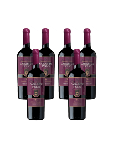 Casas de Polo Winemaker's Selection x6 | Ewine
