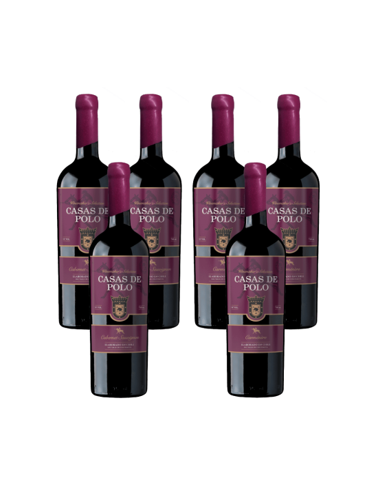 Casas de Polo Winemaker's Selection x6 | Ewine