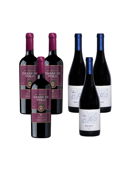 Pack Carmenère y Malbec Alta Gama x6 | Ewine