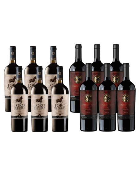 Pack Carmenère x12 · Toro de Piedra vs Dragón Rojo | Ewine