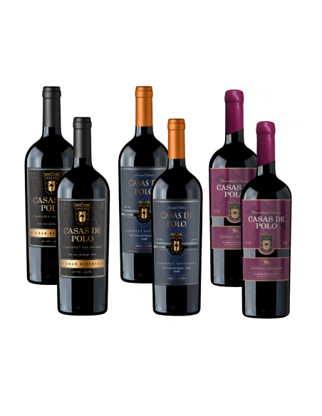 Cata Vertical Cabernet Casas de Polo x6 | Ewine