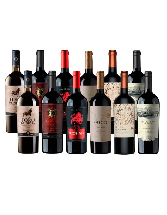 Tremendo Pack de Vinos Pemium en liquidacion