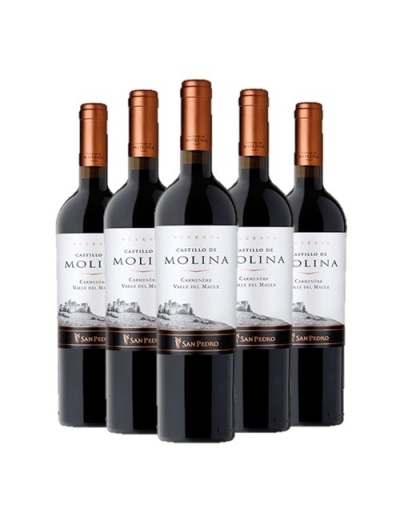 Pack 6 Carmenere, Gran Reserva, Castillo de Molina, Viña San Pedro Viña San Pedro - 1