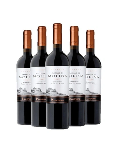 Pack 6 Carmenere, Gran Reserva, Castillo de Molina, Viña San Pedro Viña San Pedro - 1