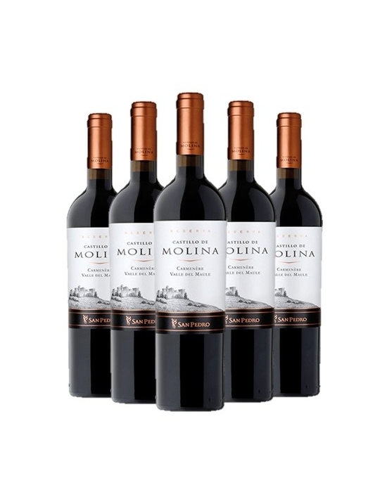 Pack 6 Carmenere, Gran Reserva, Castillo de Molina, Viña San Pedro Viña San Pedro - 1