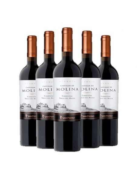 Pack 6 Carmenere, Gran Reserva, Castillo de Molina, Viña San Pedro Viña San Pedro - 1
