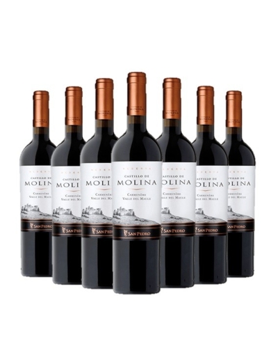 Pack 12 Carmenere, Gran Reserva, Castillo de Molina, Viña San Pedro Viña San Pedro - 1