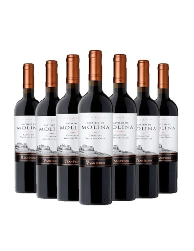 Pack 12 Carmenere, Gran Reserva, Castillo de Molina, Viña San Pedro Viña San Pedro - 1