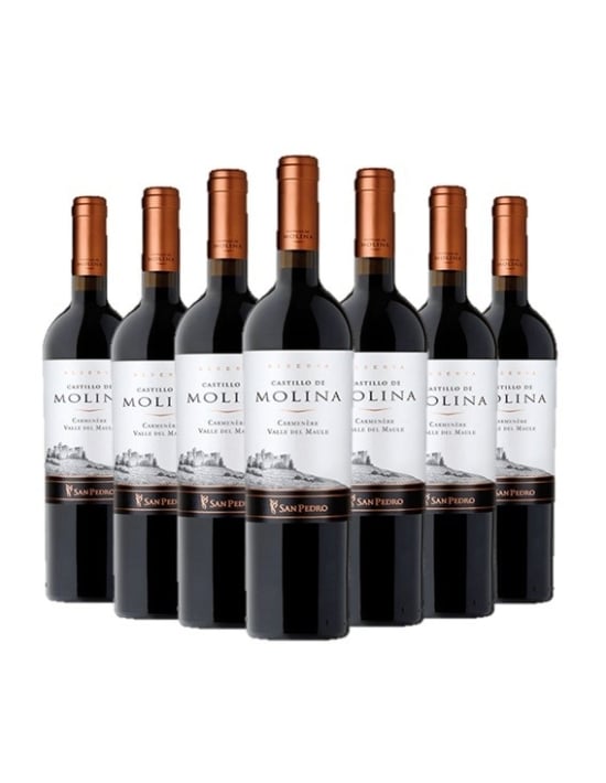 Pack 12 Carmenere, Gran Reserva, Castillo de Molina, Viña San Pedro Viña San Pedro - 1