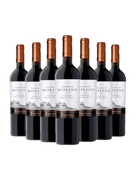 Pack 12 Carmenere, Gran Reserva, Castillo de Molina, Viña San Pedro Viña San Pedro - 1