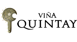 Viña Quintay