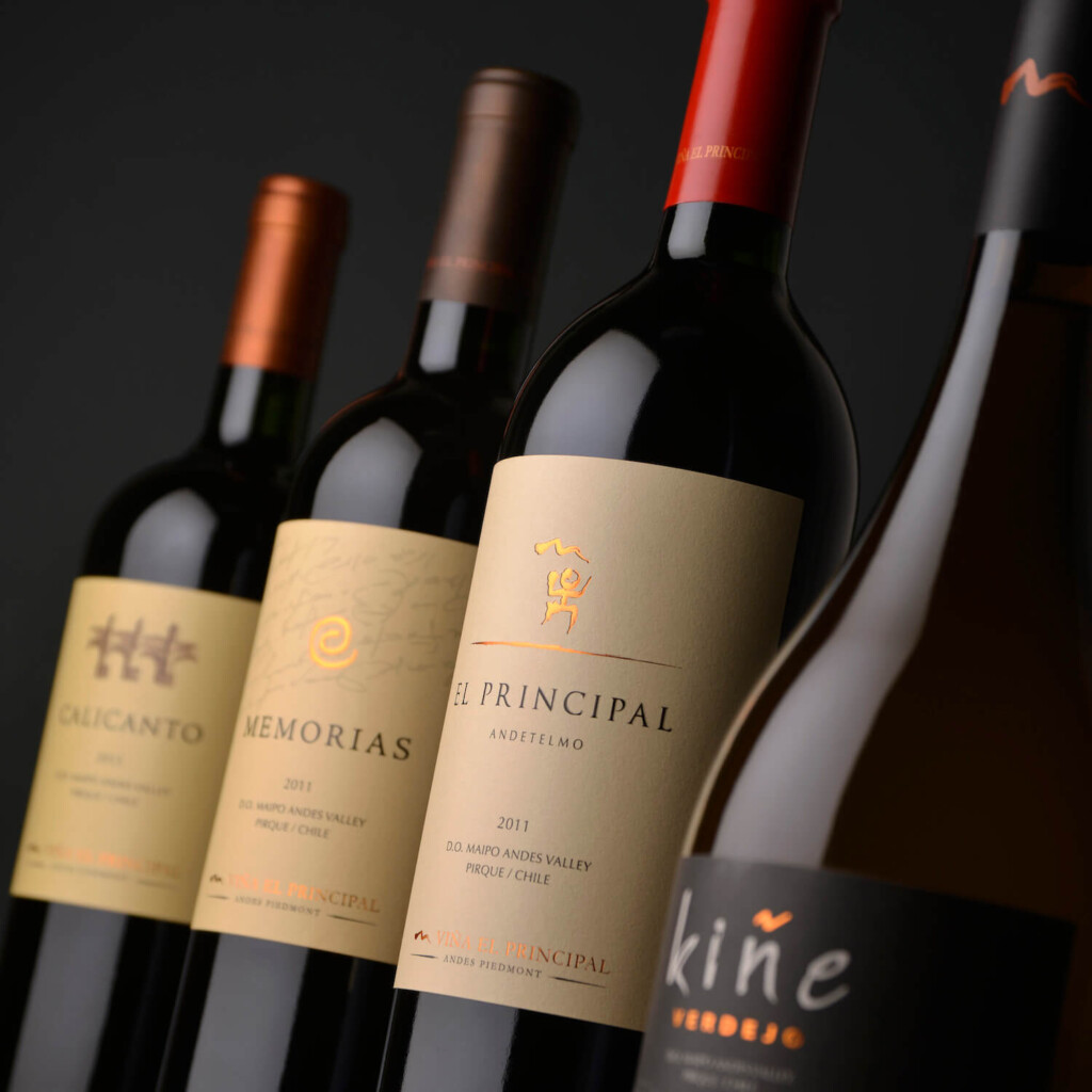Selección de vinos tintos chilenos de diferentes viñas y regiones