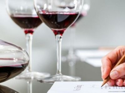 Los 5 criterios para identificar un vino de mala calidad